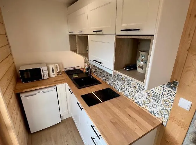 Olczyski シャレー ザコパネ