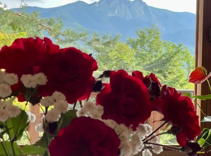 Alpehytte Olczyski *